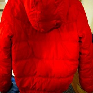 Hollister Coat